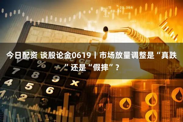 今日配资 谈股论金0619丨市场放量调整是“真跌”还是“假摔”？