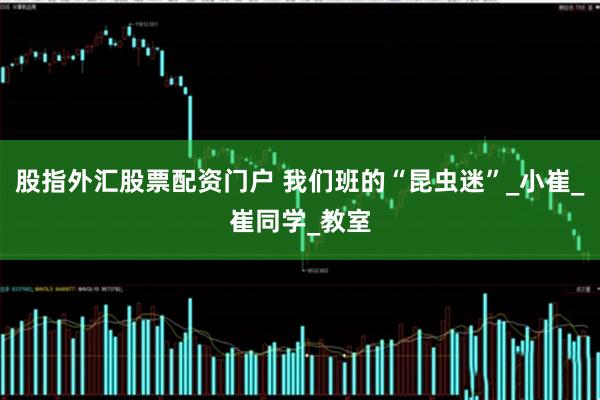 股指外汇股票配资门户 我们班的“昆虫迷”_小崔_崔同学_教室